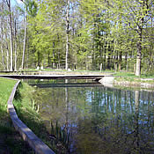 Fischteich